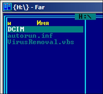 Sujin Nepali computer virus that spread terror from country to country