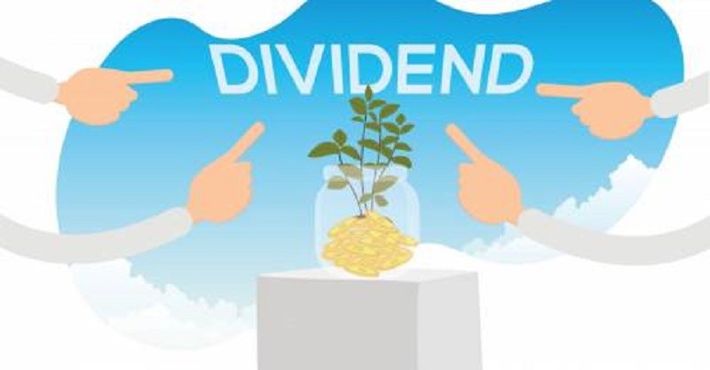 CIT (Citizen Investment Fund) has declared 30 percent  Bonus share Dividend