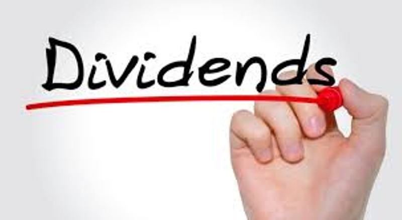 Excel Development Bank announces 12.63 percent dividend